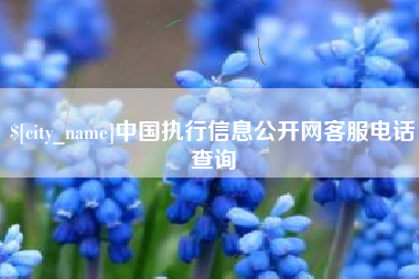巢湖中国执行信息公开网客服电话查询