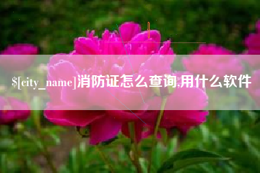 巢湖消防证怎么查询,用什么软件
