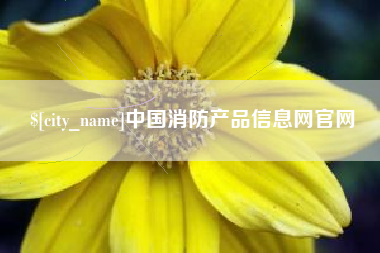 巢湖中国消防产品信息网官网