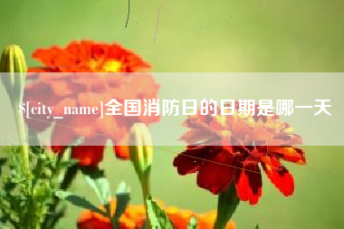 巢湖全国消防日的日期是哪一天