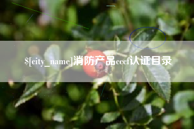 巢湖消防产品cccf认证目录