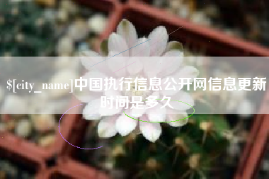 巢湖中国执行信息公开网信息更新时间是多久