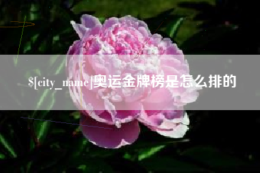 巢湖奥运金牌榜是怎么排的