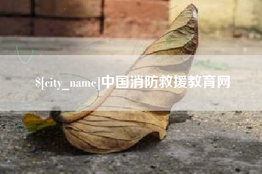 巢湖中国消防救援教育网
