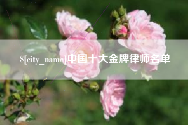 巢湖中国十大金牌律师名单