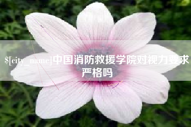 巢湖中国消防救援学院对视力要求严格吗