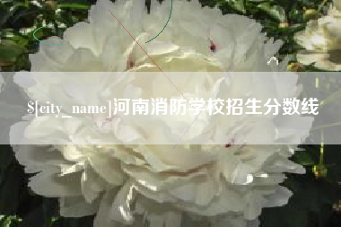 巢湖河南消防学校招生分数线