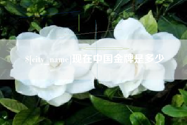 巢湖现在中国金牌是多少