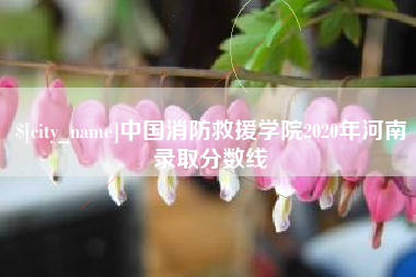 巢湖中国消防救援学院2020年河南录取分数线