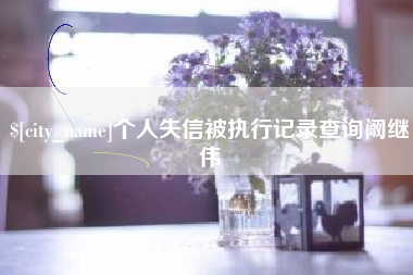 巢湖个人失信被执行记录查询阚继伟