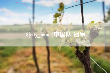 巢湖中国队 冠军