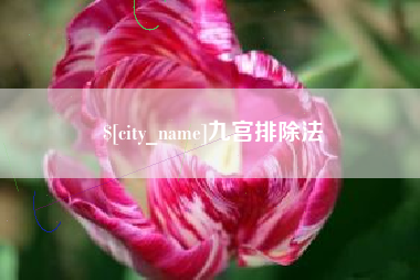 巢湖九宫排除法