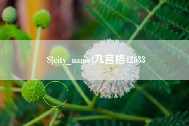 巢湖九宫格42633