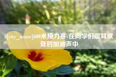 巢湖600米接力赛-在同学们震耳欲聋的加油声中
