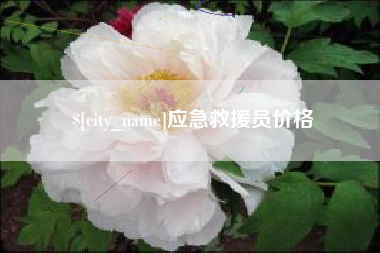 巢湖应急救援员价格