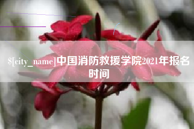 巢湖中国消防救援学院2021年报名时间