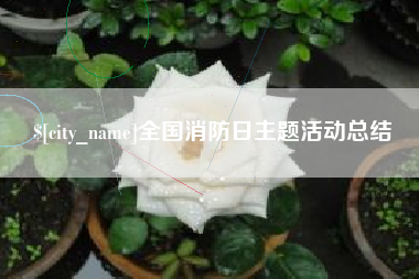巢湖全国消防日主题活动总结