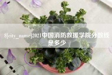 巢湖2021中国消防救援学院分数线是多少