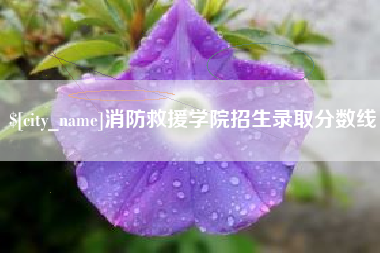 巢湖消防救援学院招生录取分数线