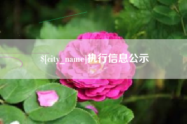 巢湖执行信息公示