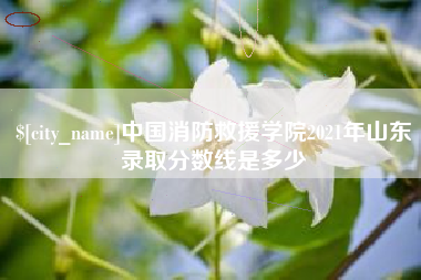 巢湖中国消防救援学院2021年山东录取分数线是多少