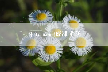 巢湖成都 消防