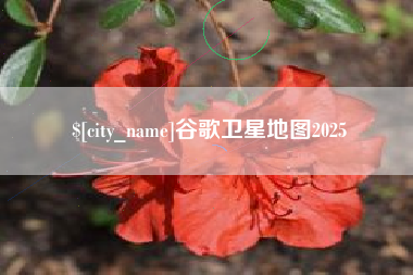 巢湖谷歌卫星地图2025