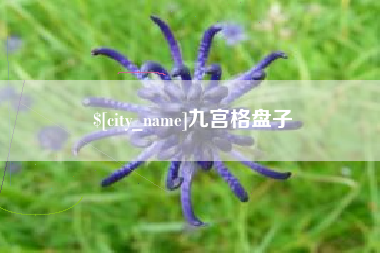 巢湖九宫格盘子