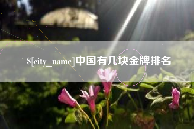 巢湖中国有几块金牌排名