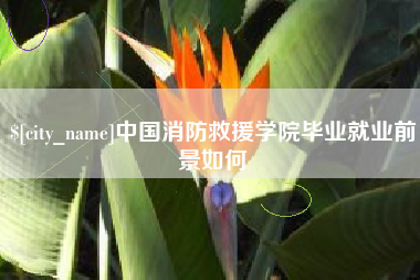 巢湖中国消防救援学院毕业就业前景如何