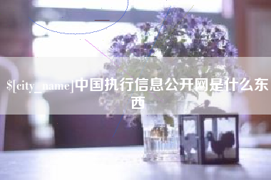 巢湖中国执行信息公开网是什么东西