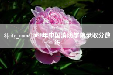 巢湖2021年中国消防学院录取分数线