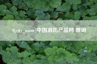 巢湖中国消防产品网 查询