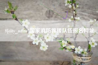巢湖国家消防救援队伍报名网址