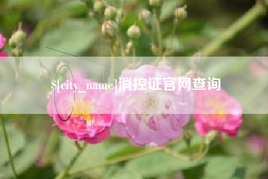 巢湖消控证官网查询
