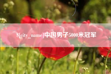 巢湖中国男子5000米冠军