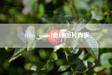巢湖金牌图片真实