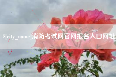 巢湖消防考试网官网报名入口网址