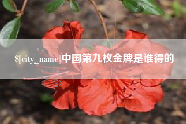 巢湖中国第九枚金牌是谁得的