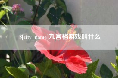 巢湖九宫格游戏叫什么