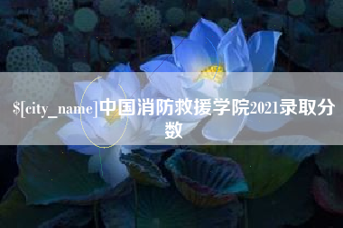 巢湖中国消防救援学院2021录取分数