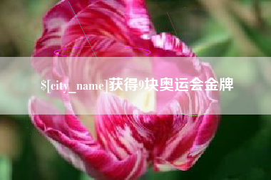 巢湖获得9块奥运会金牌