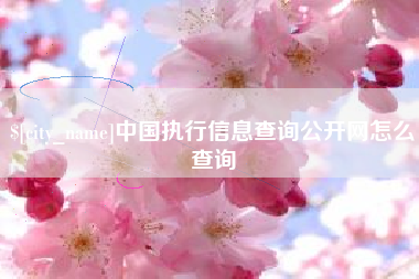 巢湖中国执行信息查询公开网怎么查询