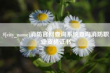 巢湖消防官网查询系统查询消防职业资格证书