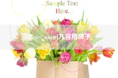 巢湖九宫格牌子