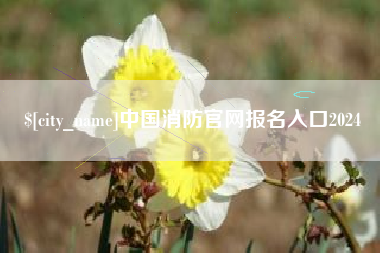 巢湖中国消防官网报名入口2024