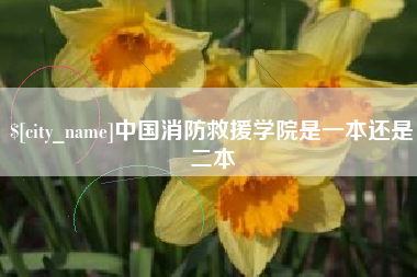巢湖中国消防救援学院是一本还是二本