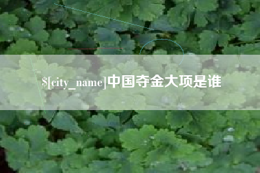 巢湖中国夺金大项是谁