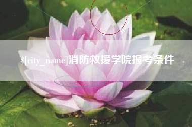 巢湖消防救援学院报考条件