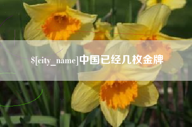巢湖中国已经几枚金牌